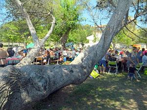 AOBR 2017 07 16 LA CIOTAT JOURNEE CABASSETTE CAMPING DU GOLF (32)